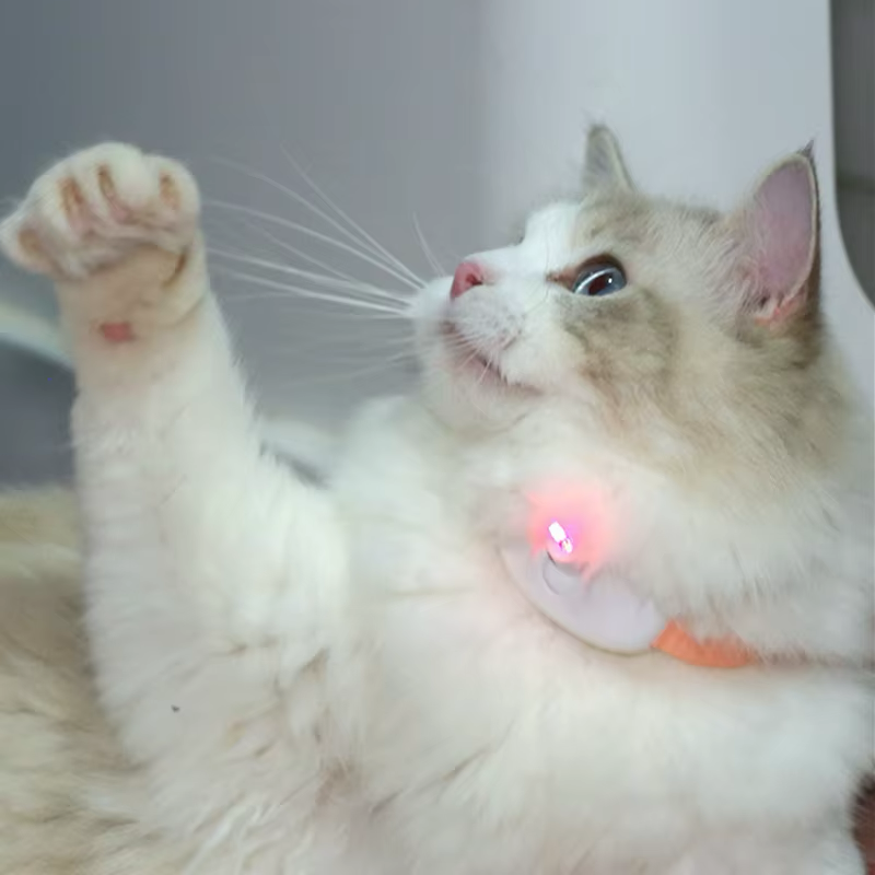 The Pet Nest™ Interactive Cat Collar Smart Laser